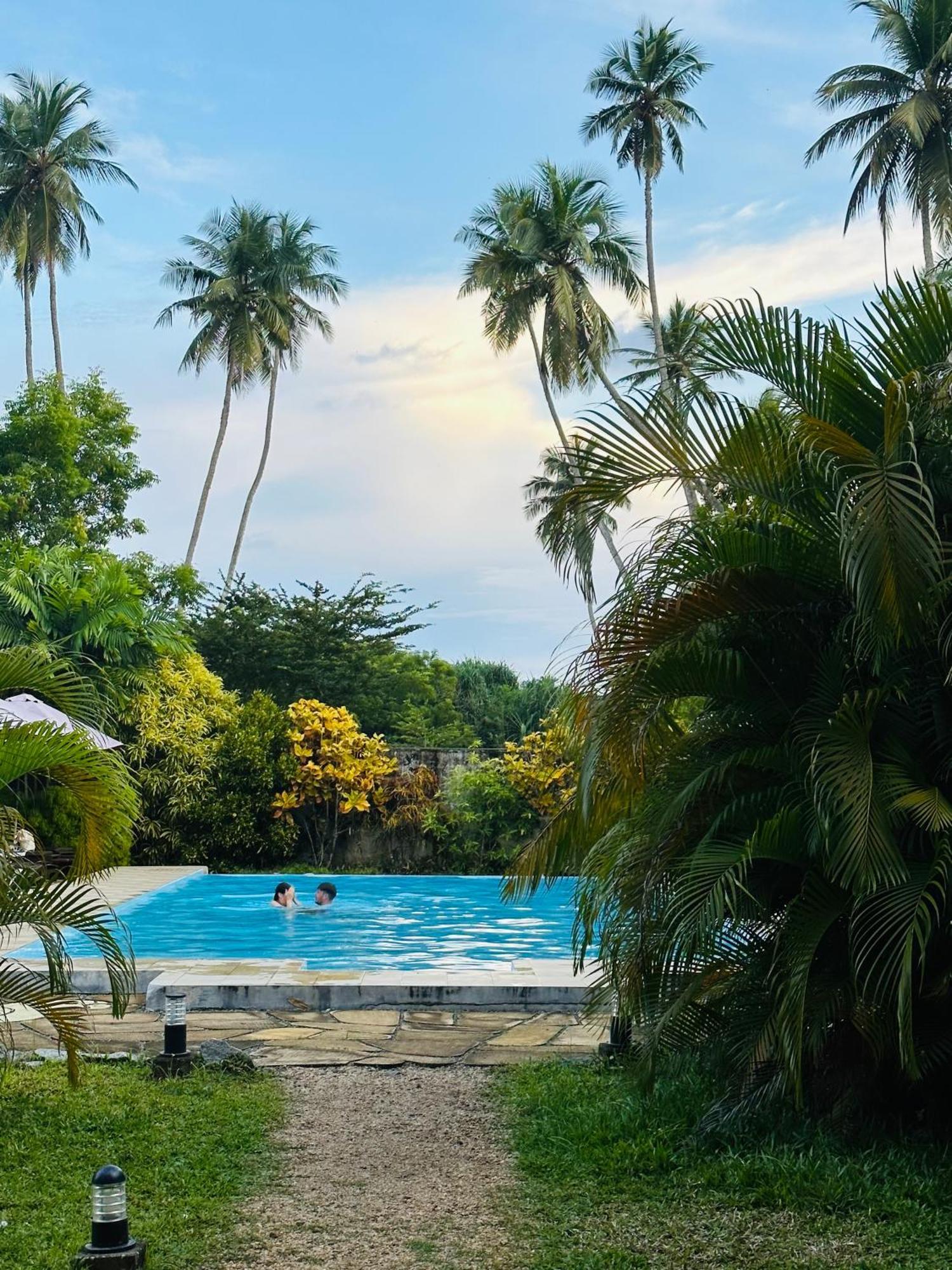 Green Parrot Beach Resort Tangalle Exterior foto